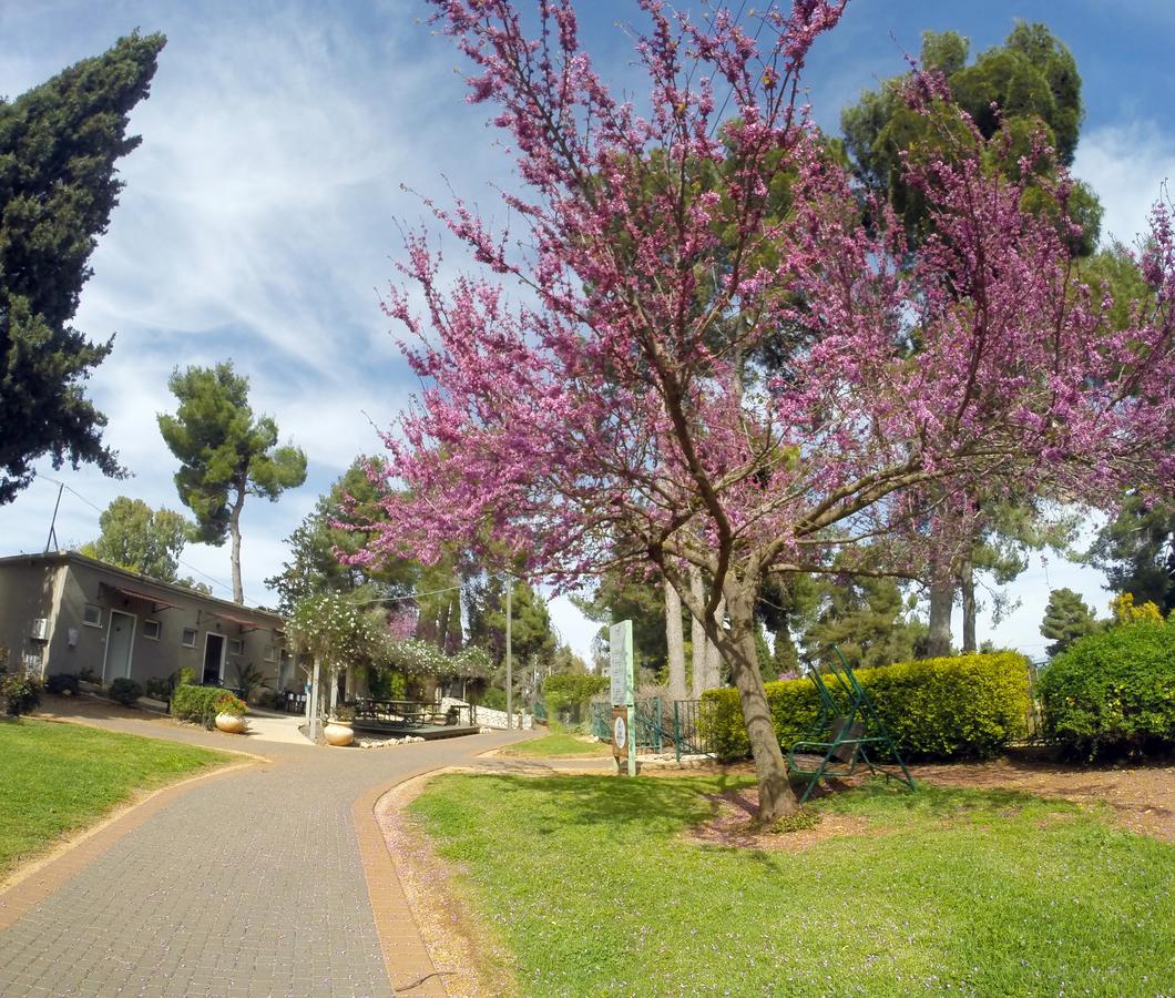 Kibbutz Malkiya Travel Hotel Malkiyya Exterior foto